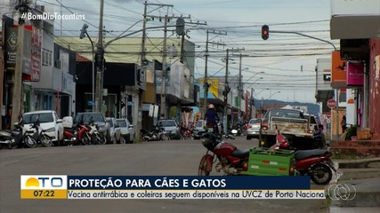 Veja onde conseguir antirrábica e encoleiramento para cães e gatos em Porto Nacional
