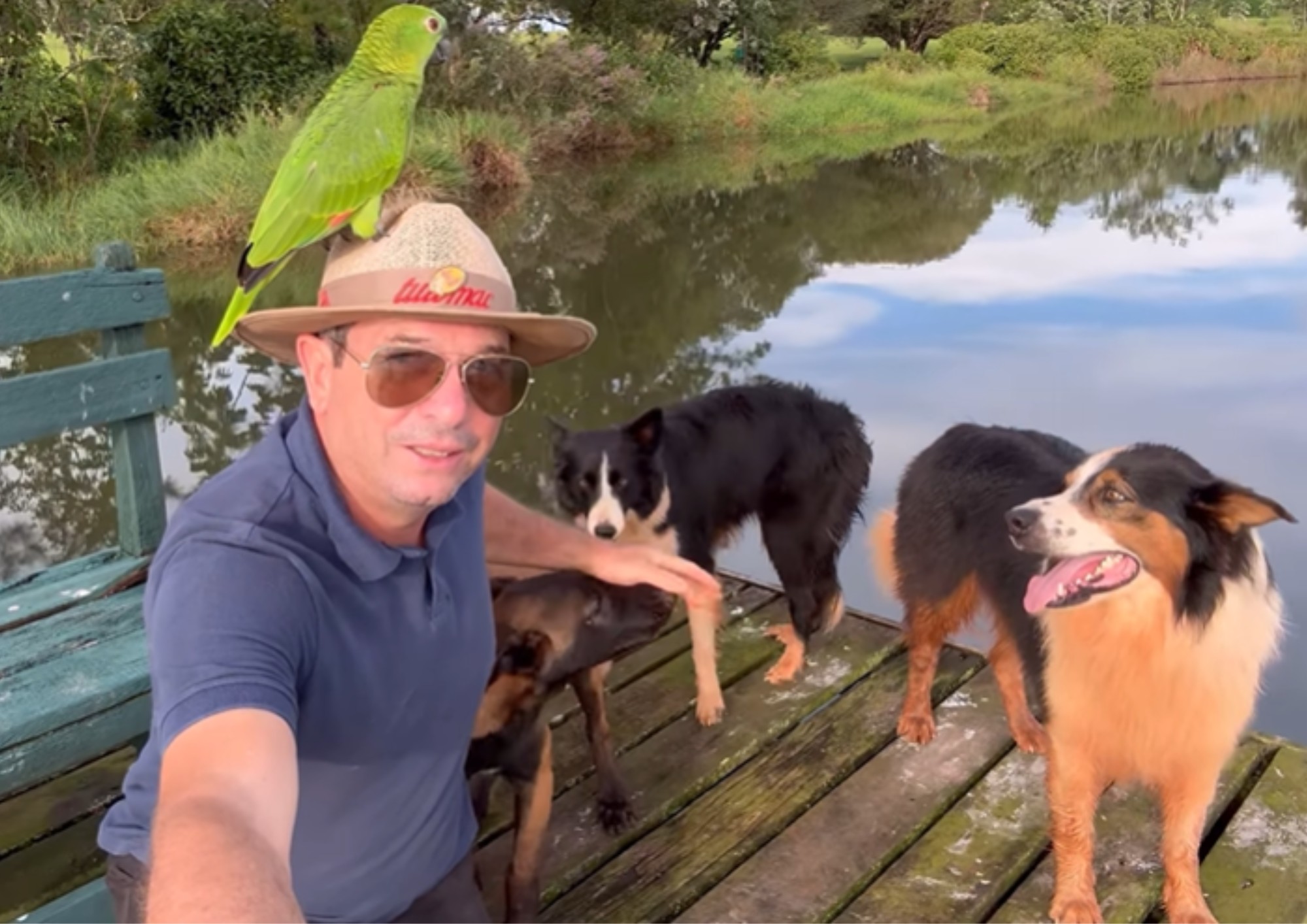 Homem que venceu câncer vira influencer ao compartilhar rotina com animais domésticos e silvestres que o visitam em fazenda: 'Me ajudaram'