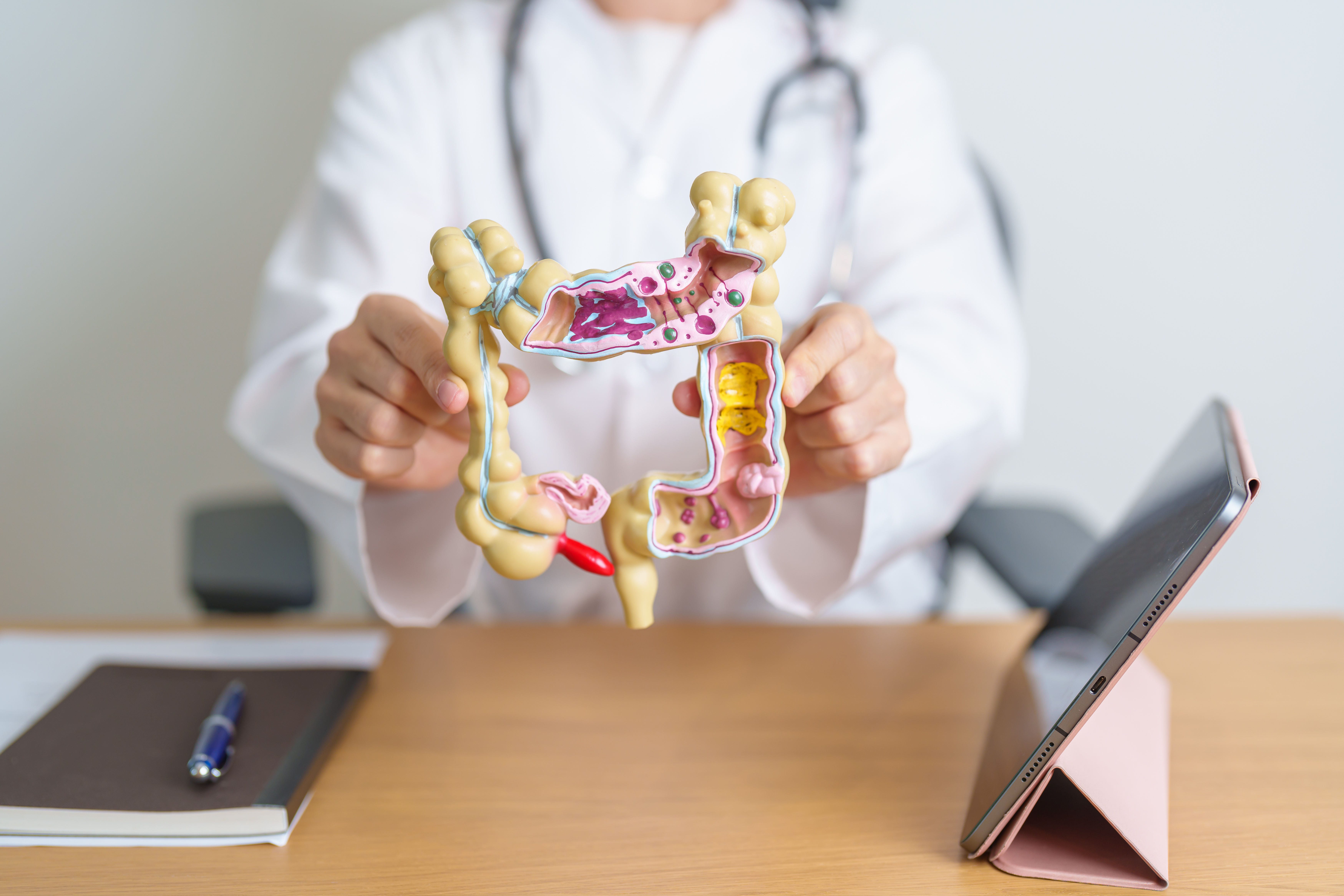 Doenças inflamatórias intestinais crescem mais de cinco vezes no Brasil em 13 anos
