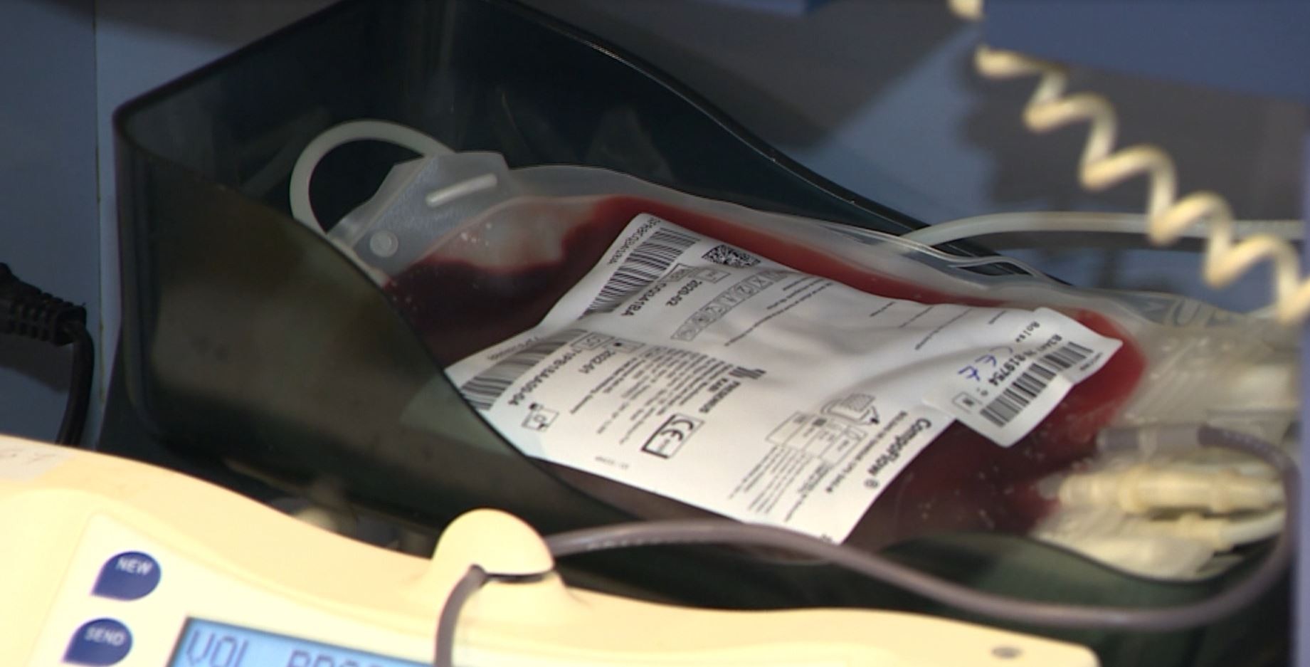 Você Não Tá Convidada pro Meu Bat Mitzvá!