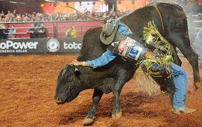 Peão de Congonhal é o grande campeão em montaria de touros no rodeio de  Barretos