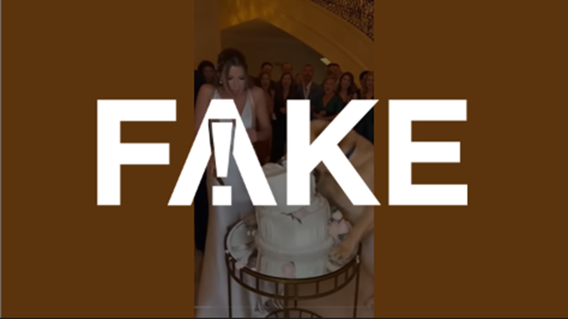 É #FAKE vídeo que mostra cachorro pulando em bolo de casamento na frente dos noivos; cena foi criada com inteligência artificial