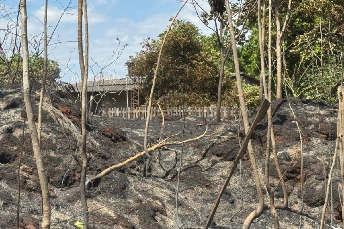 Idoso Acamado e Filho Escapam de Incêndio em Casa Graças à Ação Heroica dos Bombeiros em MS!