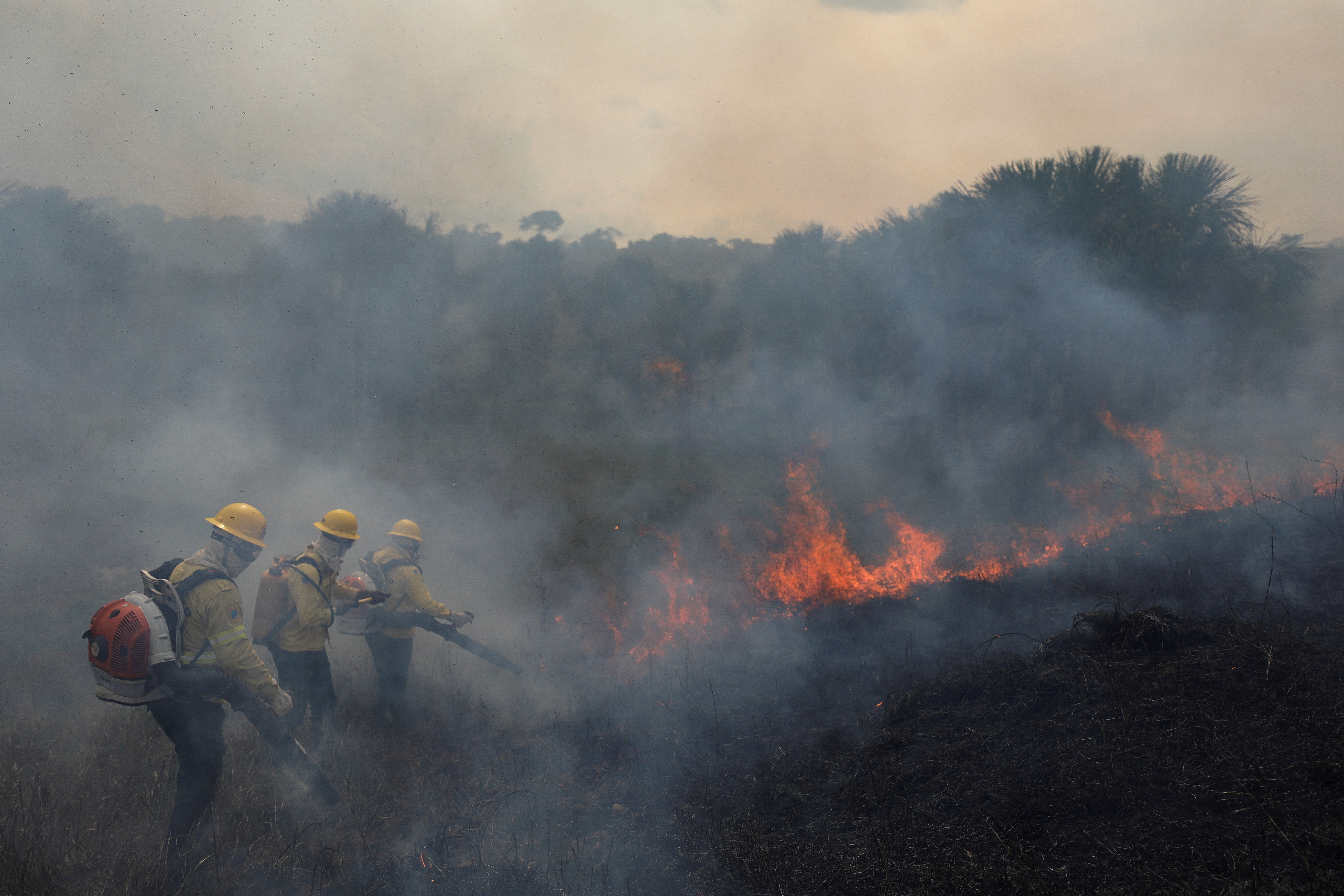 Amazonas registra mais de 900 focos de queimadas em um único dia