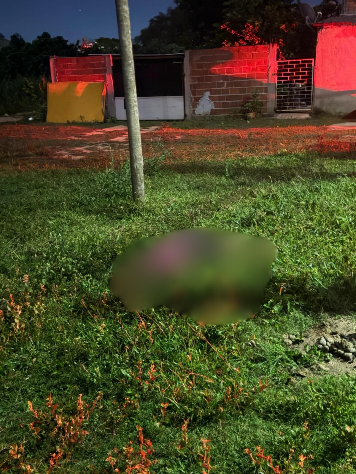 Homem é morto a tiros e corpo é encontrado em matagal em Marliéria