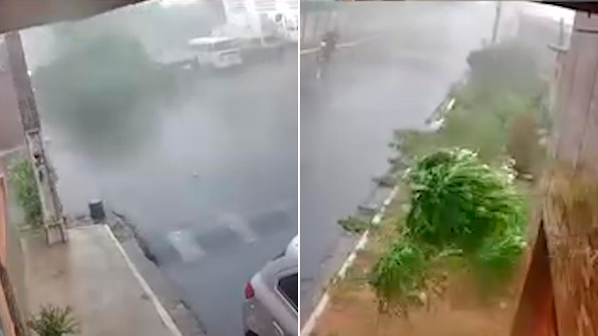 VÍDEO: ventos fortes derrubam árvore durante chuva em cidade do PI; veja previsão do tempo