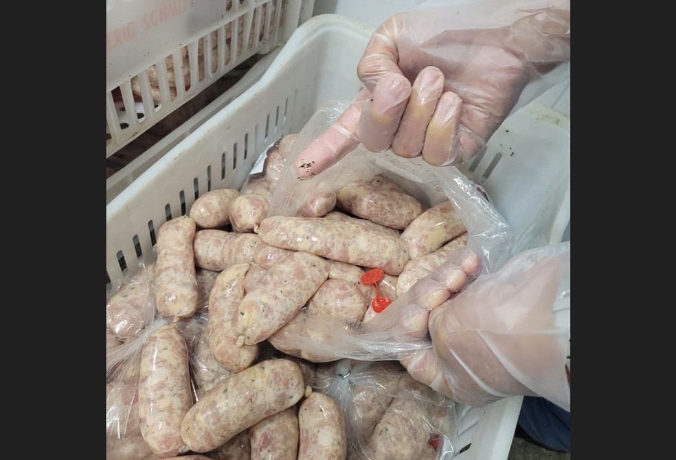 Sujeira encontrada em meio a linguiças em São Francisco do Sul — Foto: MPSC/Divulgação