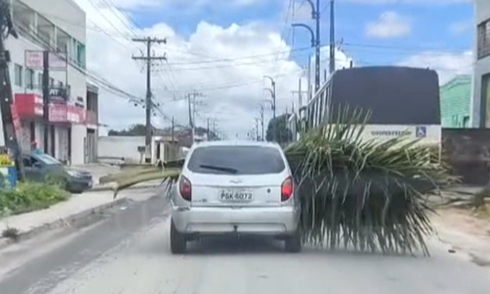 Motorista é filmado carregando palhas de coqueiro em carro e batendo em ciclistas e veículos em Jaboatão; VÍDEO