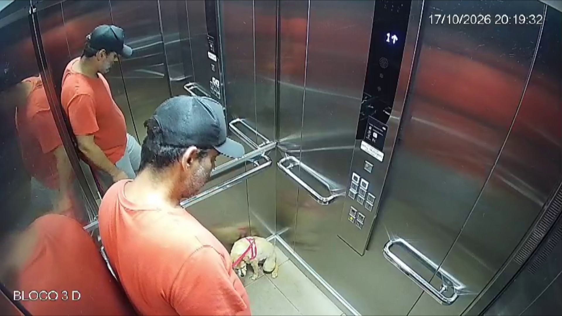 Homem é preso após chutar cachorra em elevador de condomínio em Santa Bárbara d'Oeste; VÍDEO