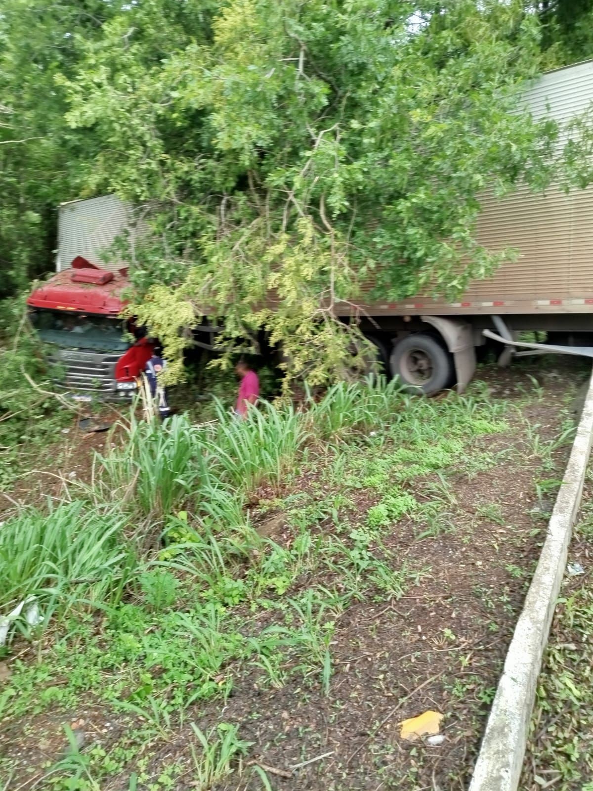 Carreta sai da pista e bate em árvores na BR-135 após motorista fazer ultrapassagem e perder o controle