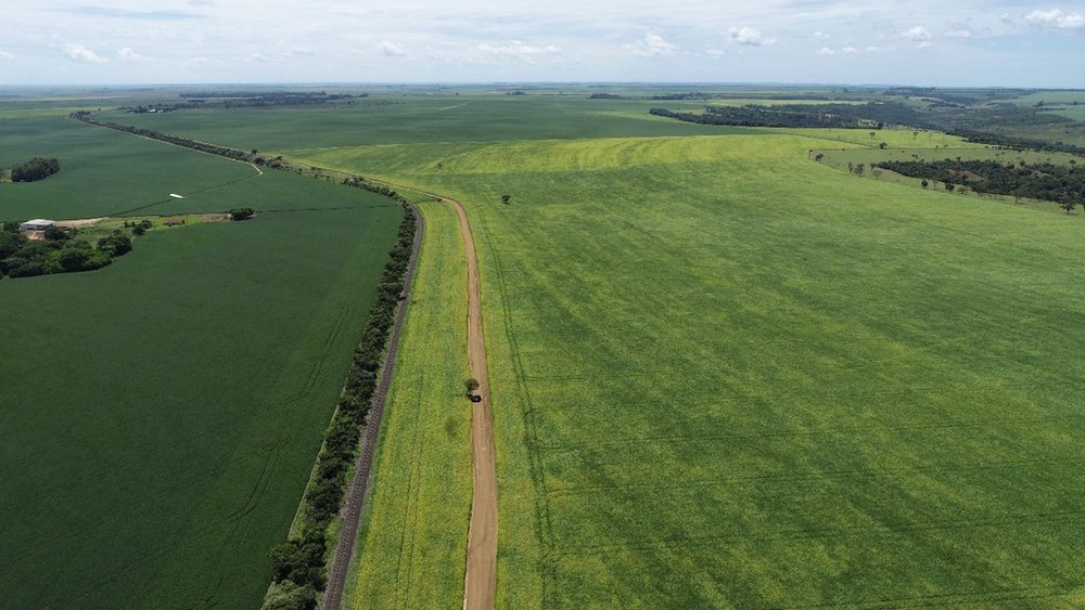 Uberaba prevê plantio de 90 mil hectares de soja e se mantém entre os 3 maiores produtores do grão