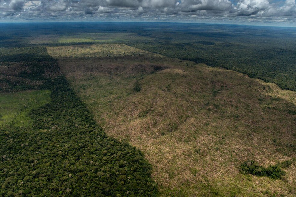 Par&aacute; tem maioria das unidades de conserva&ccedil;&atilde;o e terras ind&iacute;genas mais  desmatadas da Amaz&ocirc;nia, diz Imazon | Par&aacute; | G1