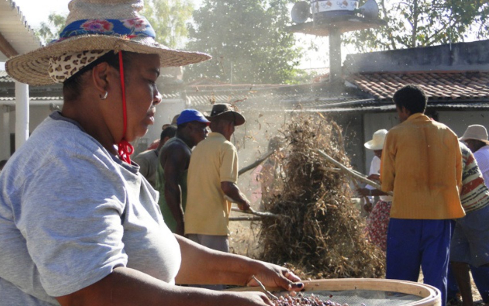 Bata do Feijão: tradição de caceteiros e biatadeiras é celebrada em Feira de Santana