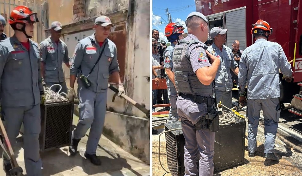 Bombeiros retiraram o pitbull da residência em Campinas (SP) após ataque que terminou com a morte da tutora de 25 anos, nesta terça-feira (23) — Foto: Helen Sacconi/EPTV