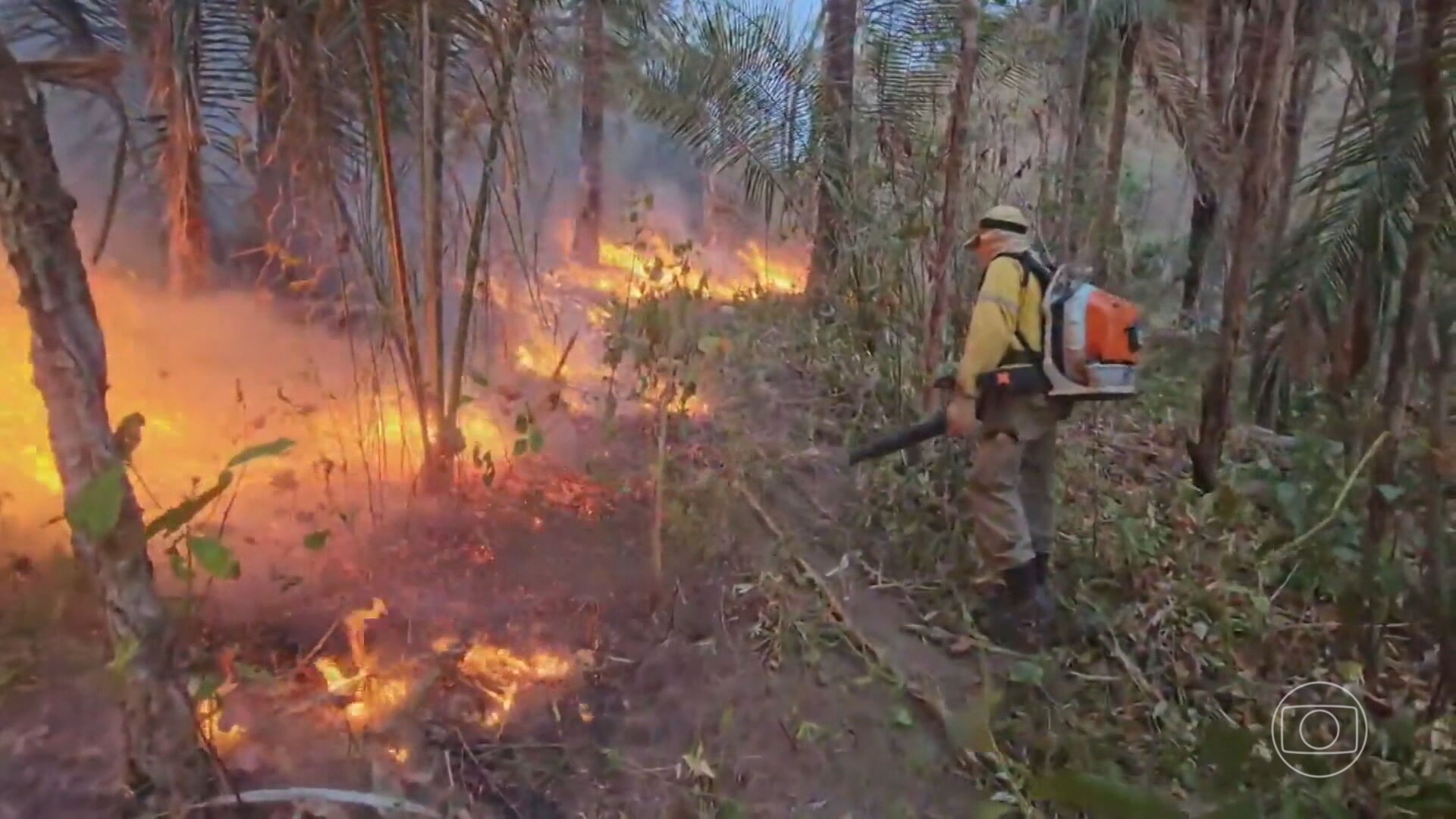 Mato Grosso tem menor número de focos de calor no mês de julho em mais de 20 anos