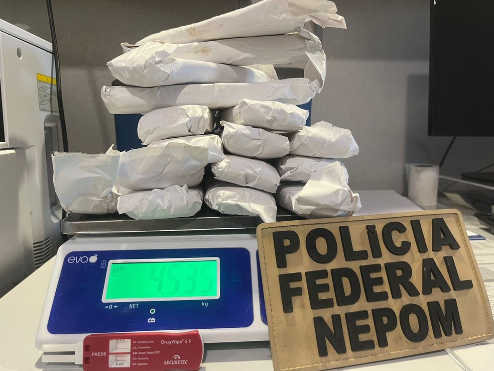 Homem é preso pela PF com 5kg de cocaína em navio de cruzeiro na Baía de Guanabara — Foto: Divulgação/ Polícia Federal