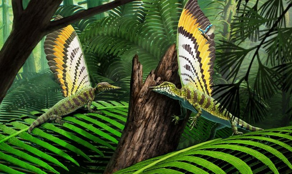 Pesquisadores descobrem réptil com penas de milhões de anos a partir de fóssil e reproduzem imagem computadorizada de como ele seria — Foto: Gabriel Ugueto