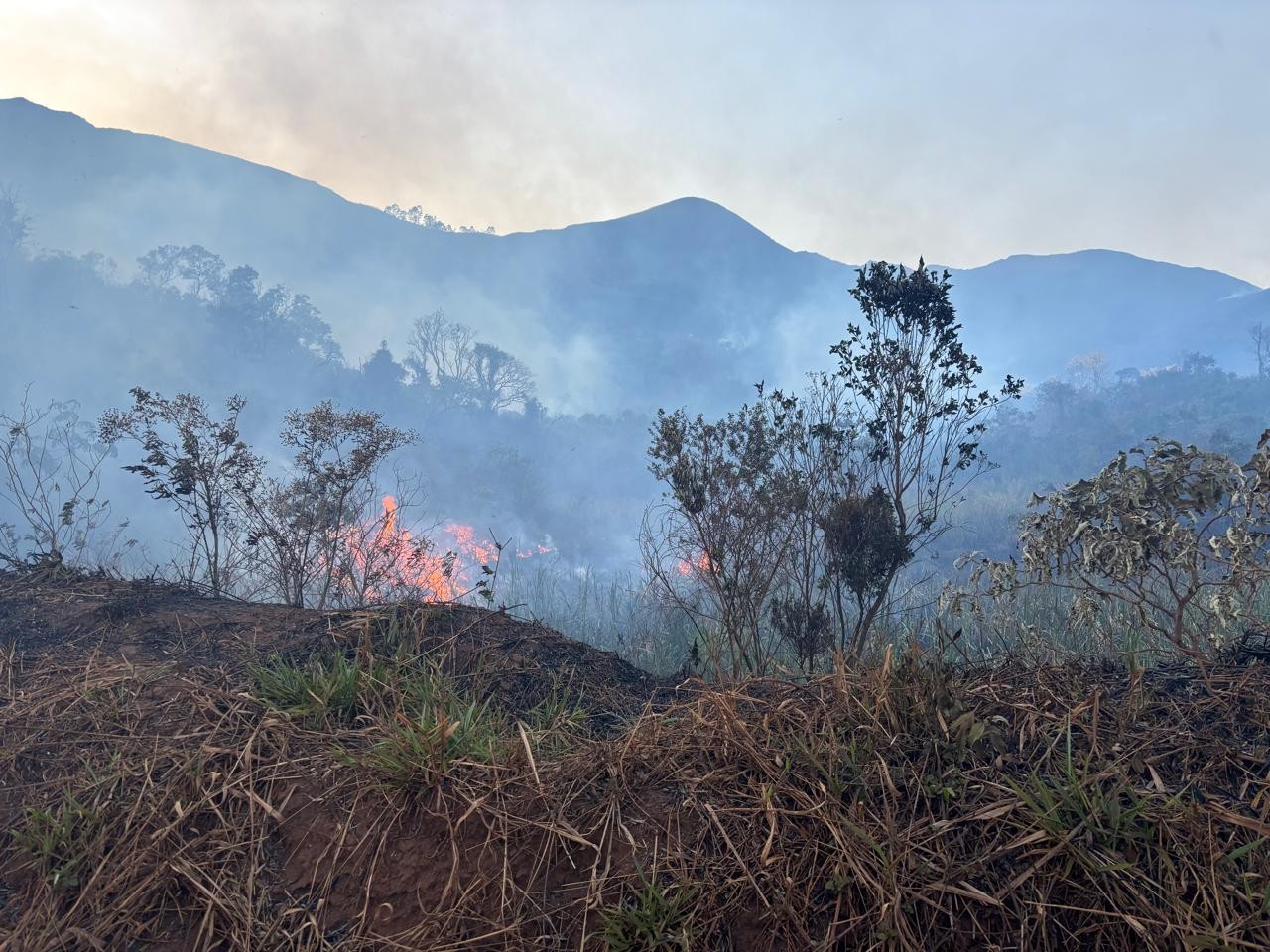 Incêndio em área de difícil acesso atinge área de preservação em Belo Vale (MG); VÍDEO