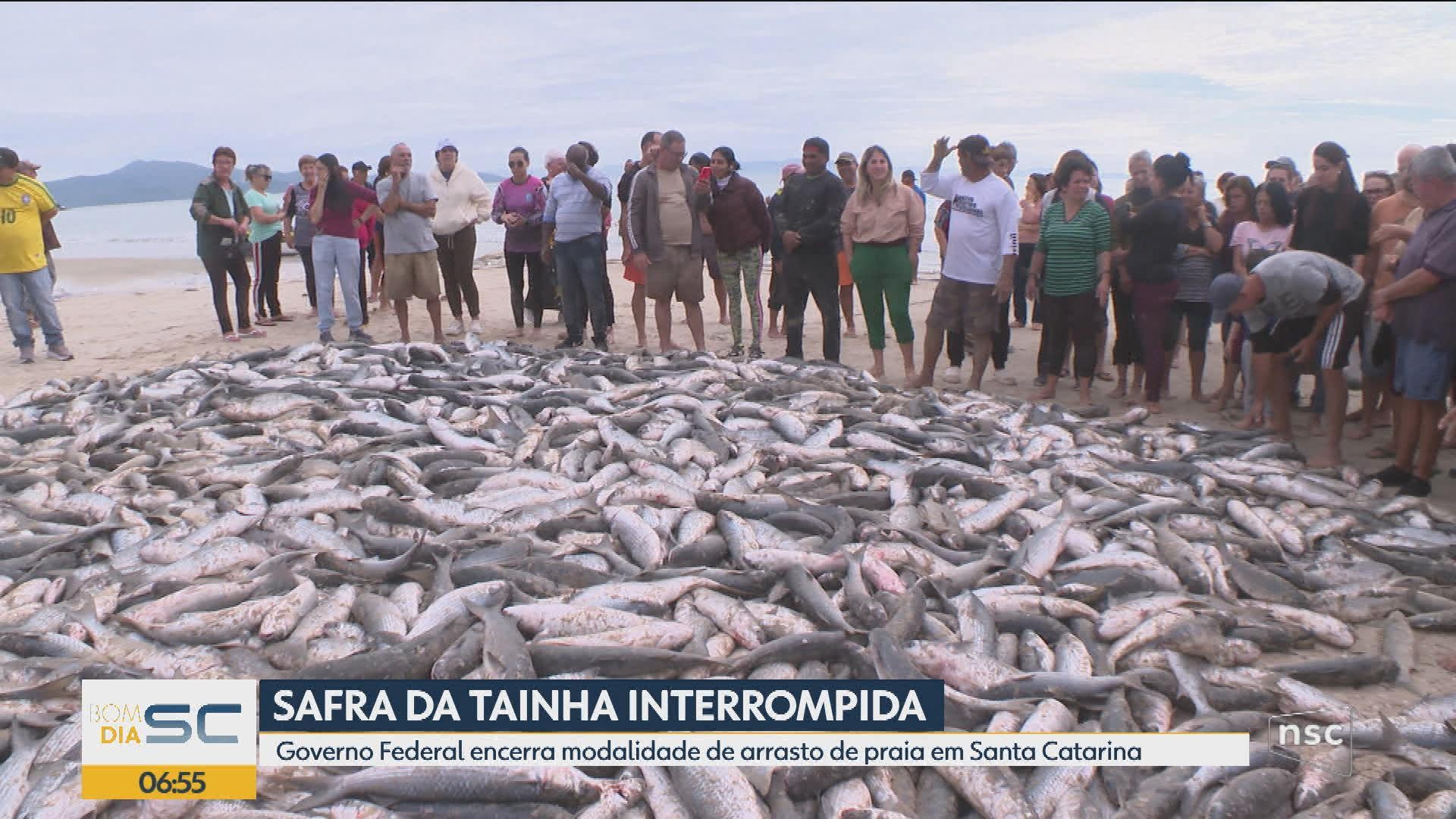 VÍDEOS: Bom Dia Santa Catarina de segunda-feira, 8 de junho de 2026