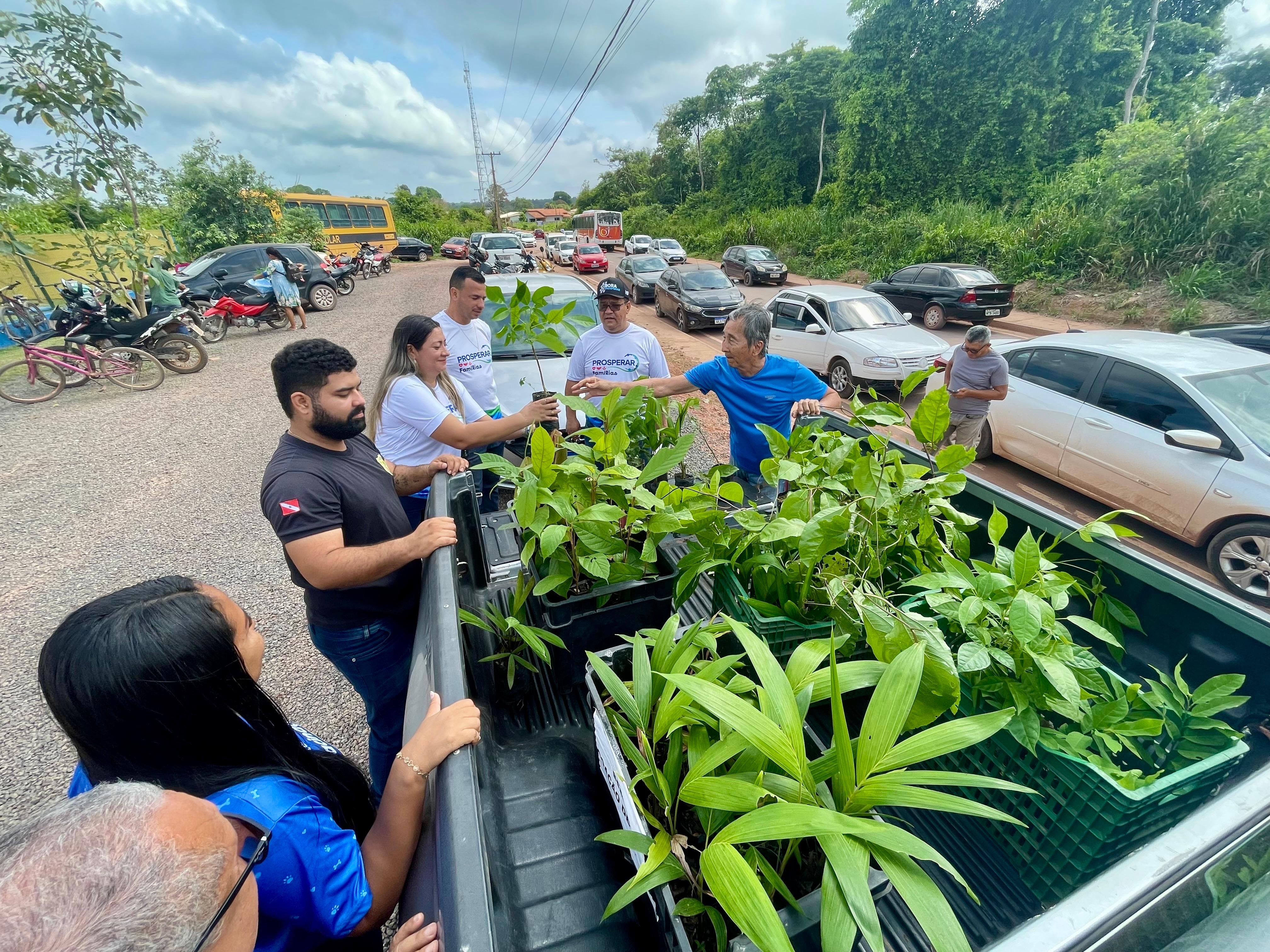 Distribuição de mudas incentiva plantio e consumo de frutas na comunidade do Cipoal em Santarém
