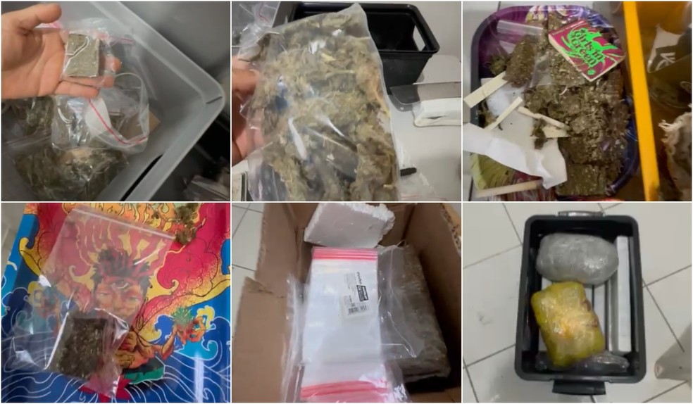 Laboratório de drogas em apartamento é desarticulado em operação da Polícia Civil em Presidente Prudente (SP) — Foto: Polícia Civil/Divulgação