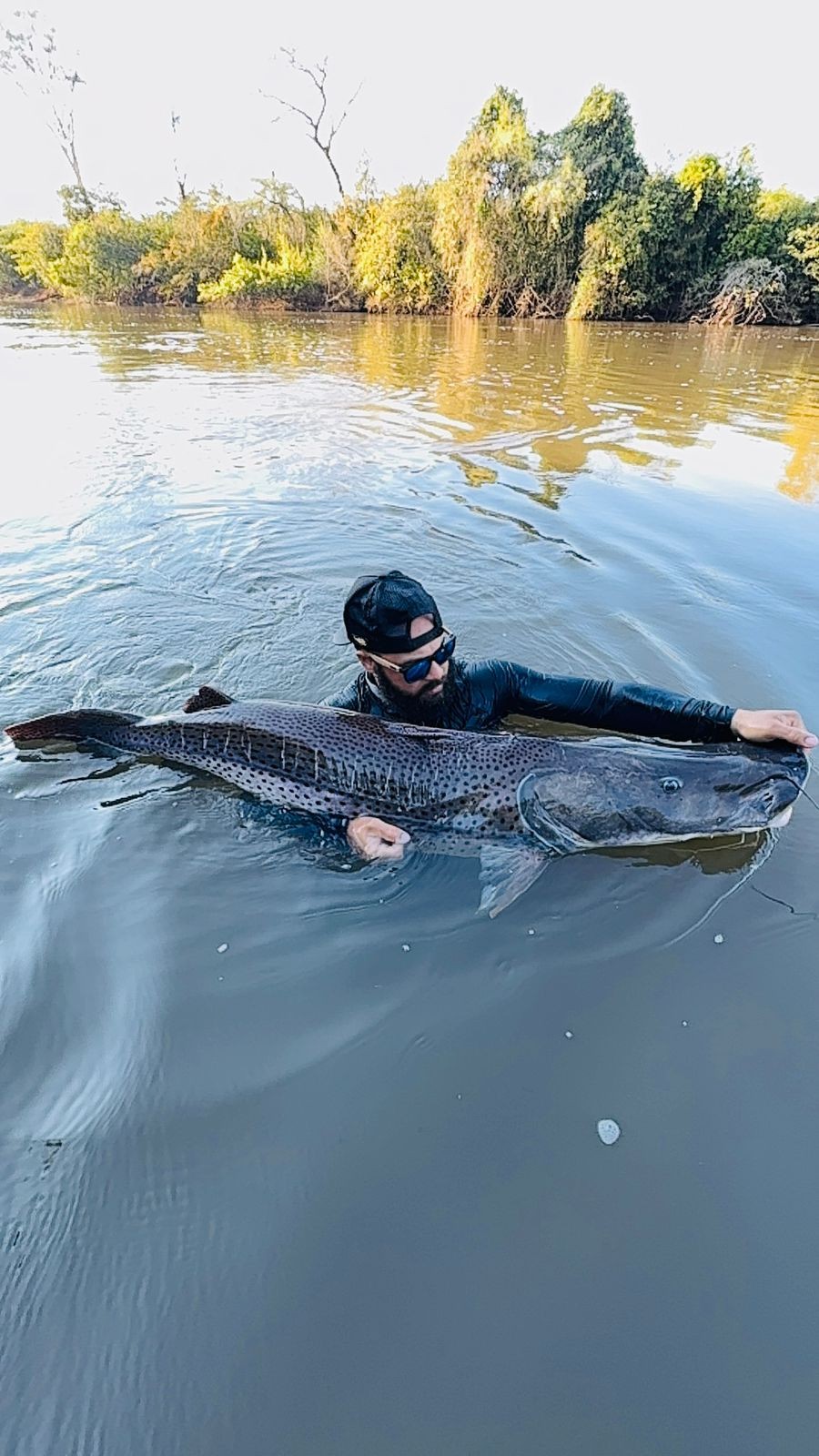 'Adrenalina a milhão': pescador mergulha e pega pintado de 1,61m em rio de MS; veja vídeo