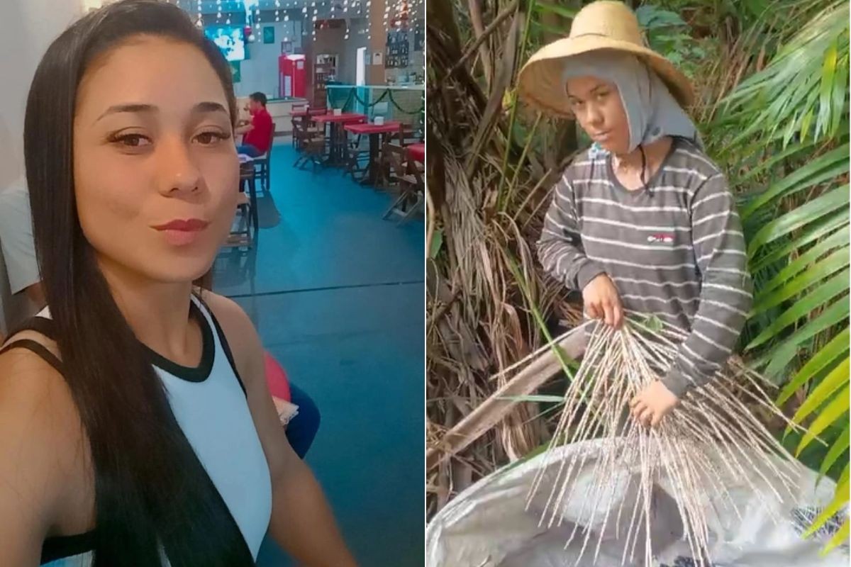 Vídeo mostra últimos momentos de jovem que morreu após levar choque durante colheita de açaí no interior de SP