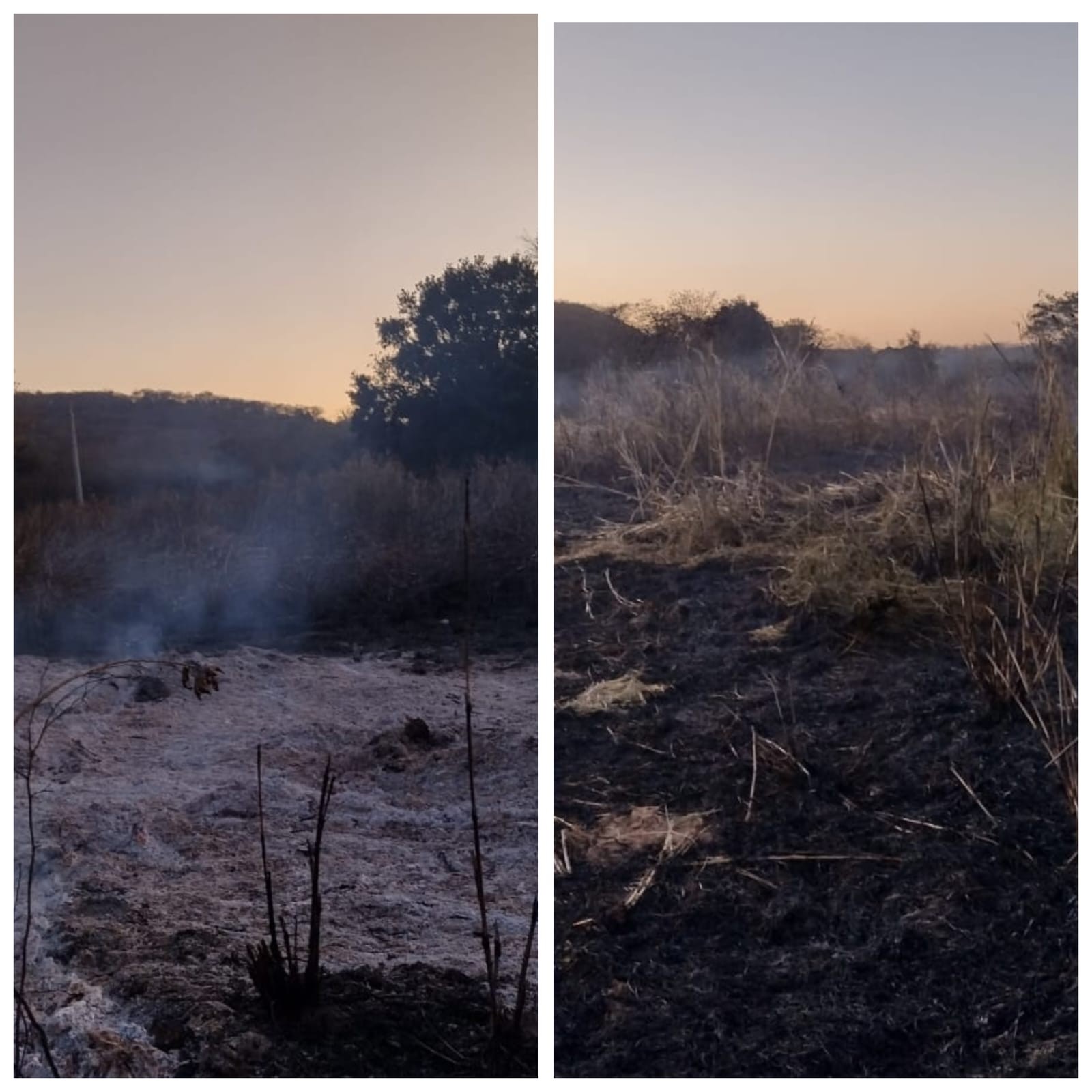 Incêndio atinge plantação de milho e mobiliza bombeiros na zona rural de Montes Claros