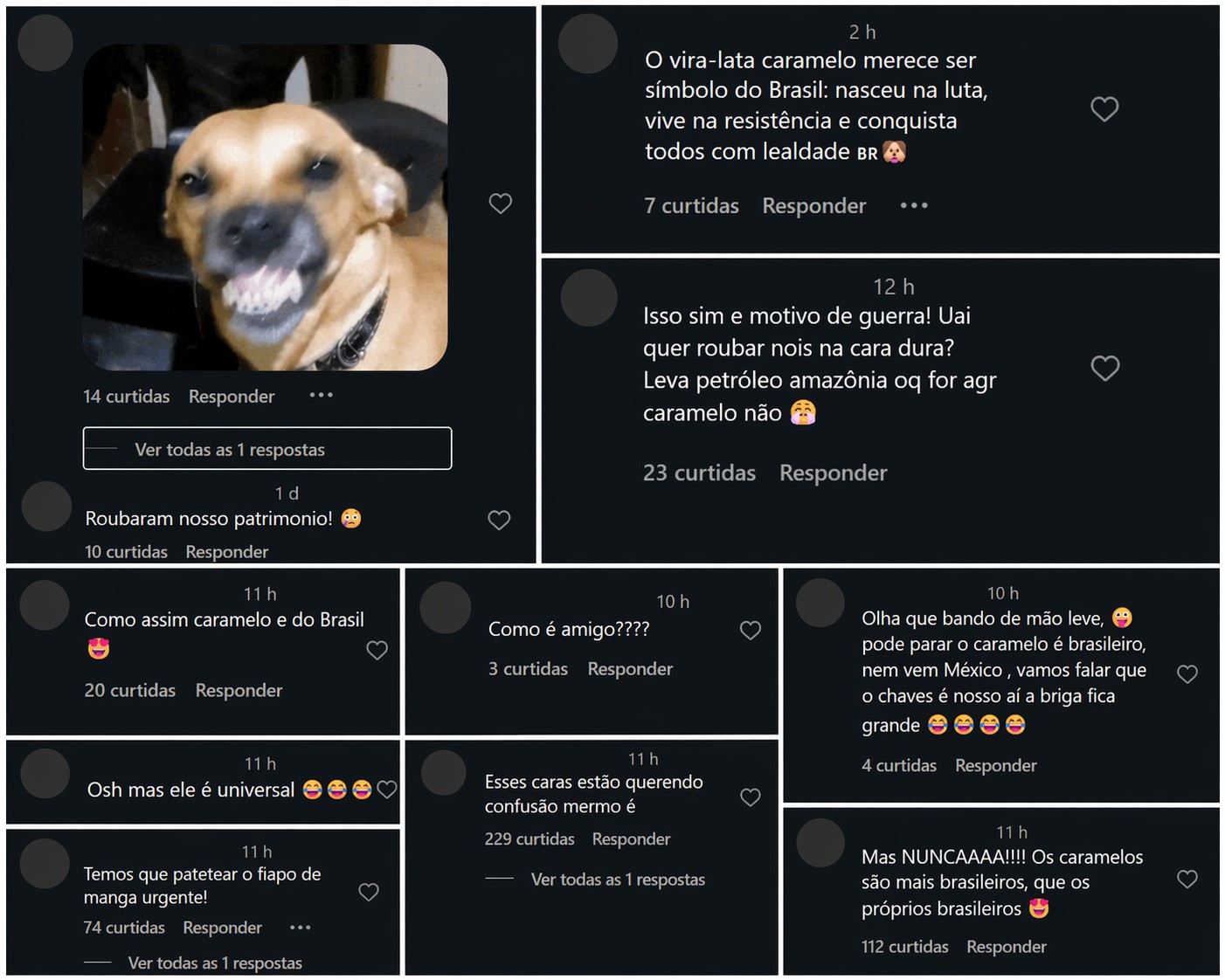 México reconhece 'cachorro caramelo' como raça mexicana e provoca reação de brasileiros nas redes sociais