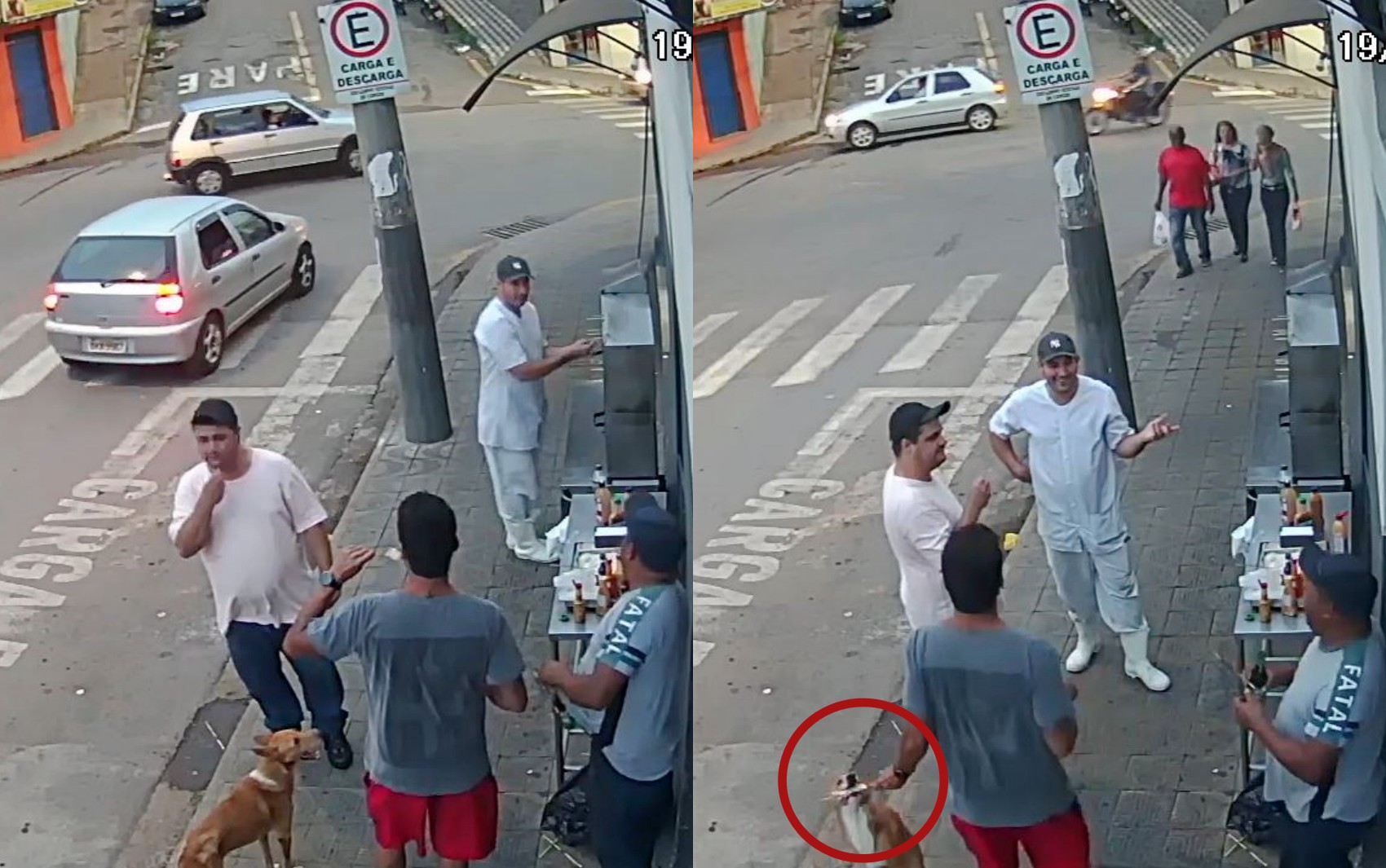 VÍDEO: Cachorro caramelo 'furta' espetinho de cliente de açougue no Sul de Minas