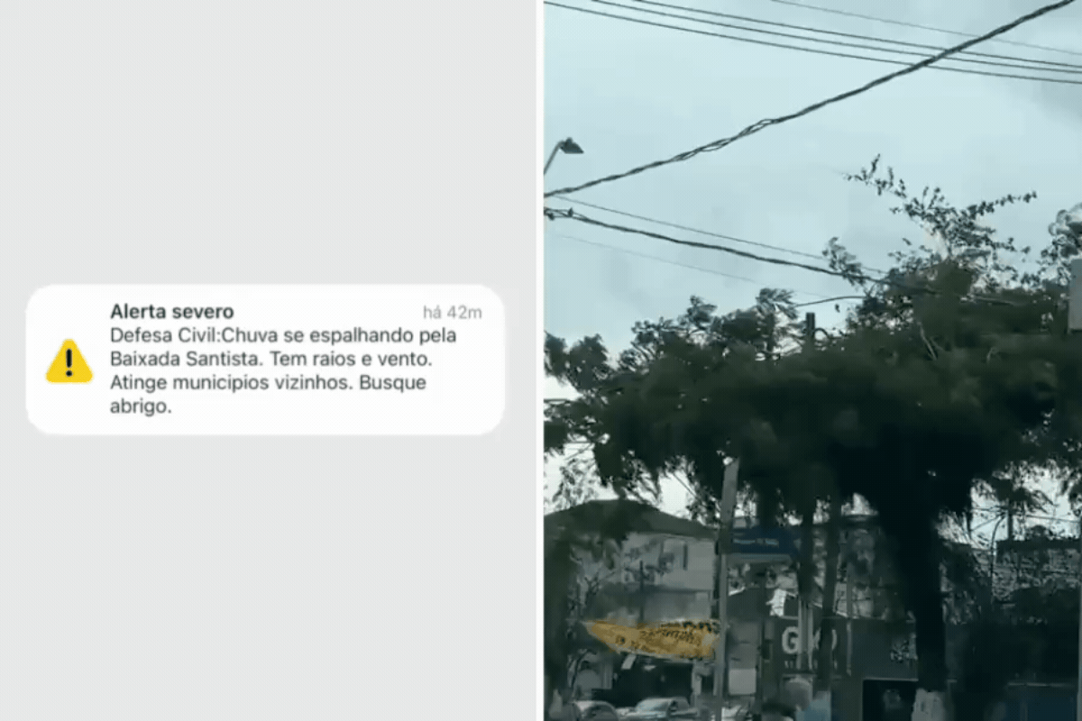 Defesa Civil emite alerta severo para chuva, raios e ventania em SP: 'Busque abrigo'