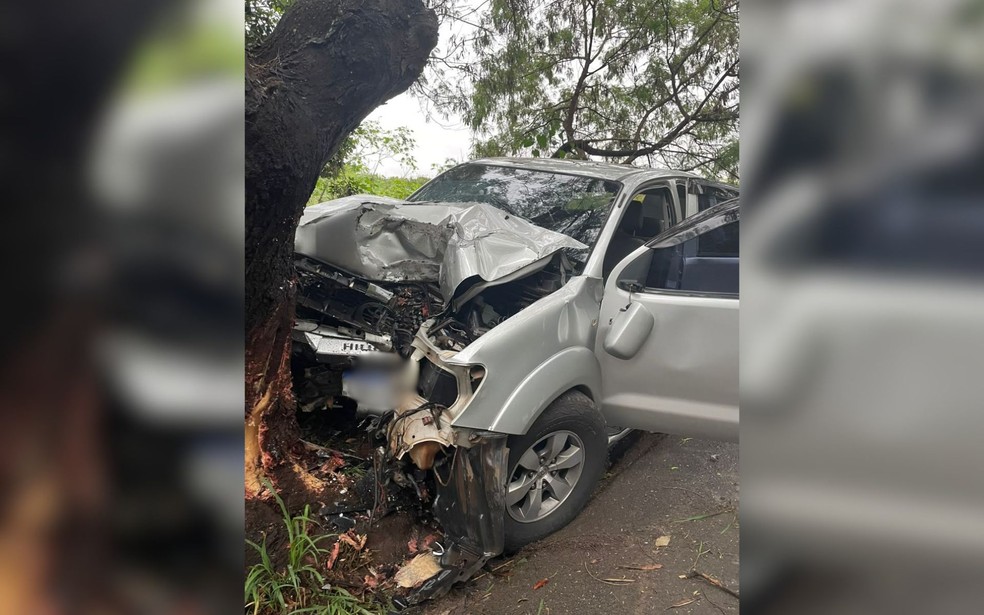 Homem morre após caminhonete bater contra árvore em São José do Rio Preto (SP) — Foto: Divulgação