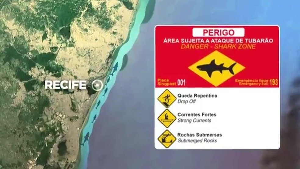 Detalhes exclusivos sobre os ataques de tubarão no litoral de Pernambuco, que deixaram um menino e uma jovem gravemente feridos. — Foto: Reprodução/TV Globo