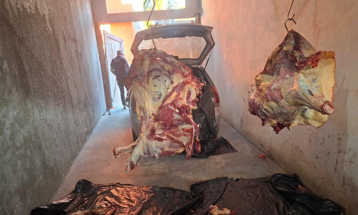 Operação prende onze suspeitos de furtar e abater gado para venda ilegal de carne na Bahia
