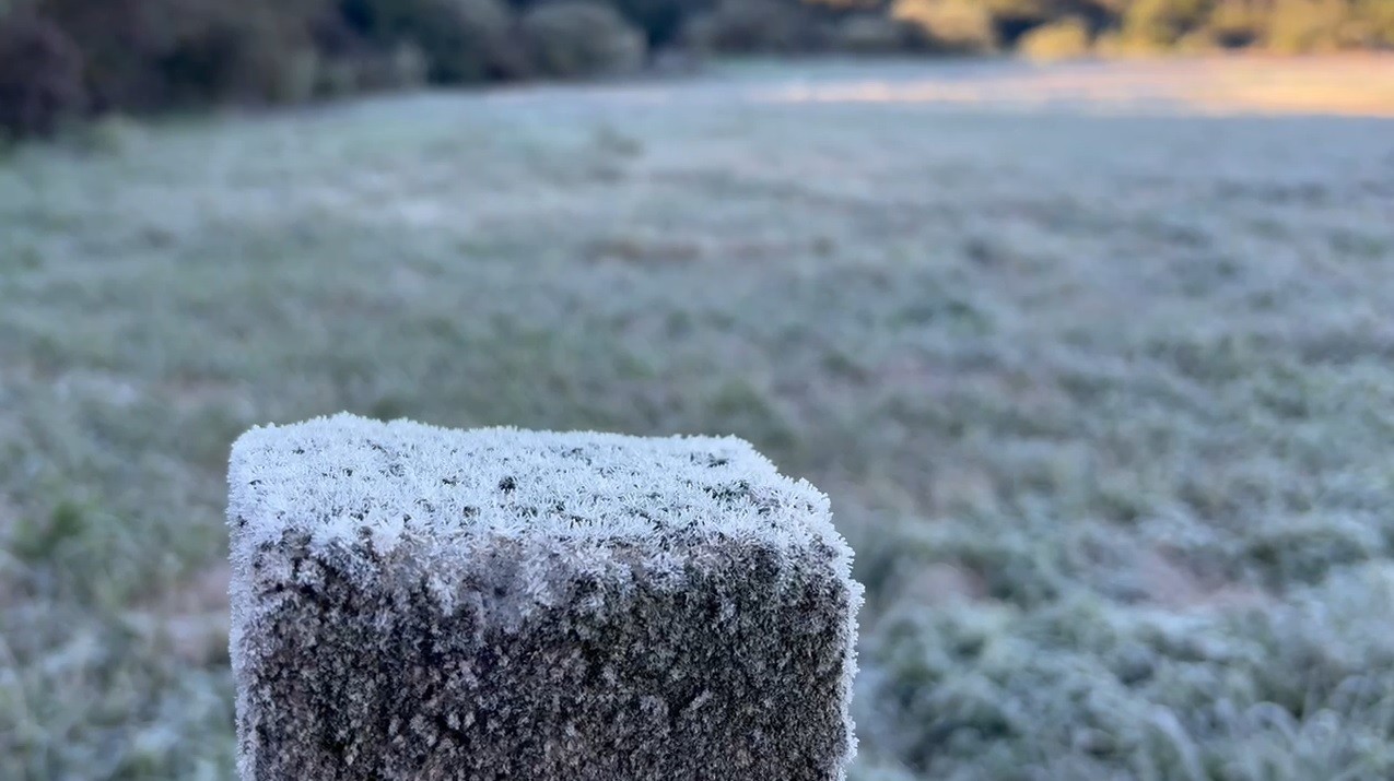 Prepare o casaco! Frio mais intenso do ano chega na terça-feira; RS deve ter geada e mínimas de 0°C