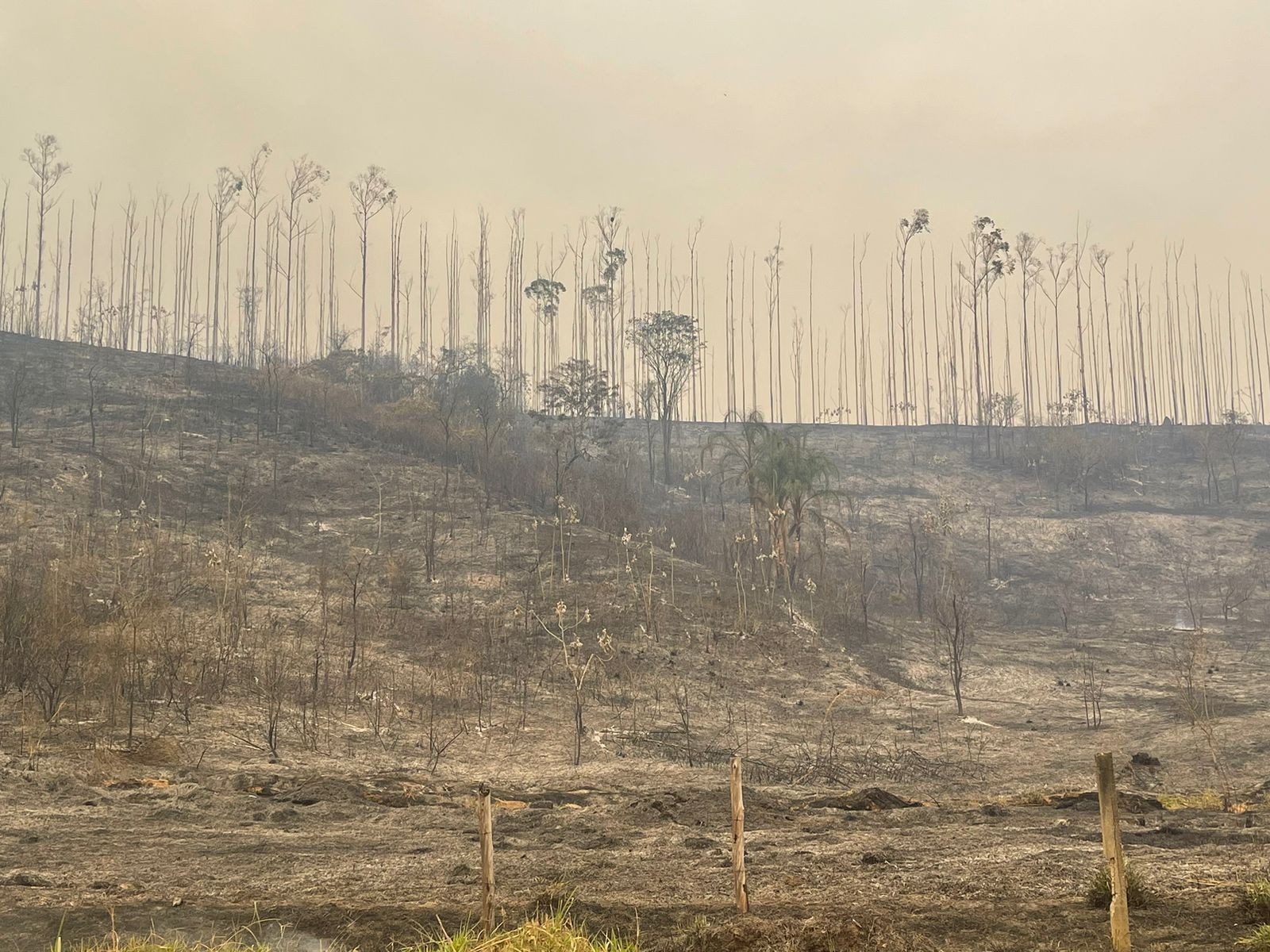 Fogo em área de mata no terreno do Inpe é extinto por brigadistas