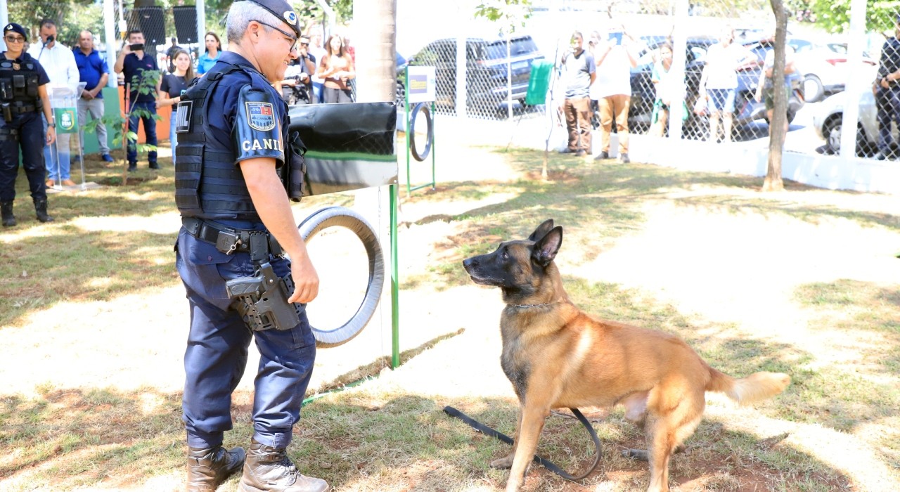 'Cão Orelha', morto em SC, vira nome de parque para pets em Itu