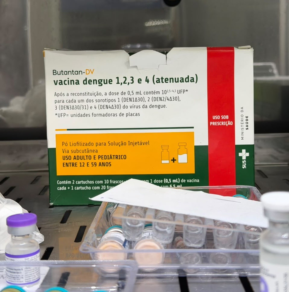 Petrópolis suspende vacina contra a dengue do Instituto Butantan após orientação do Ministério da Saúde