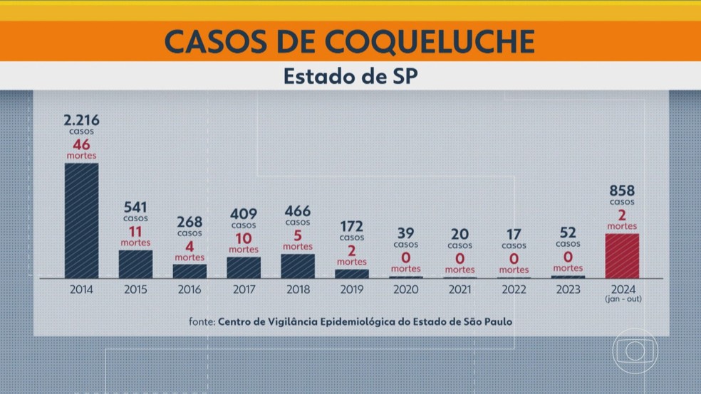 Estado de SP registra maior número de casos de coqueluche nos últimos 10 anos — Foto: Reprodução/TV Globo