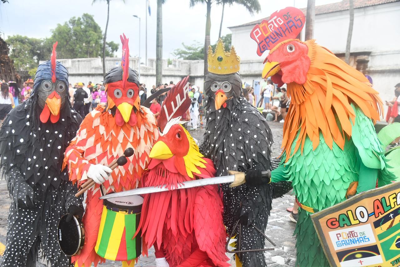 Acompanhe o desfile do Galo da Madrugada