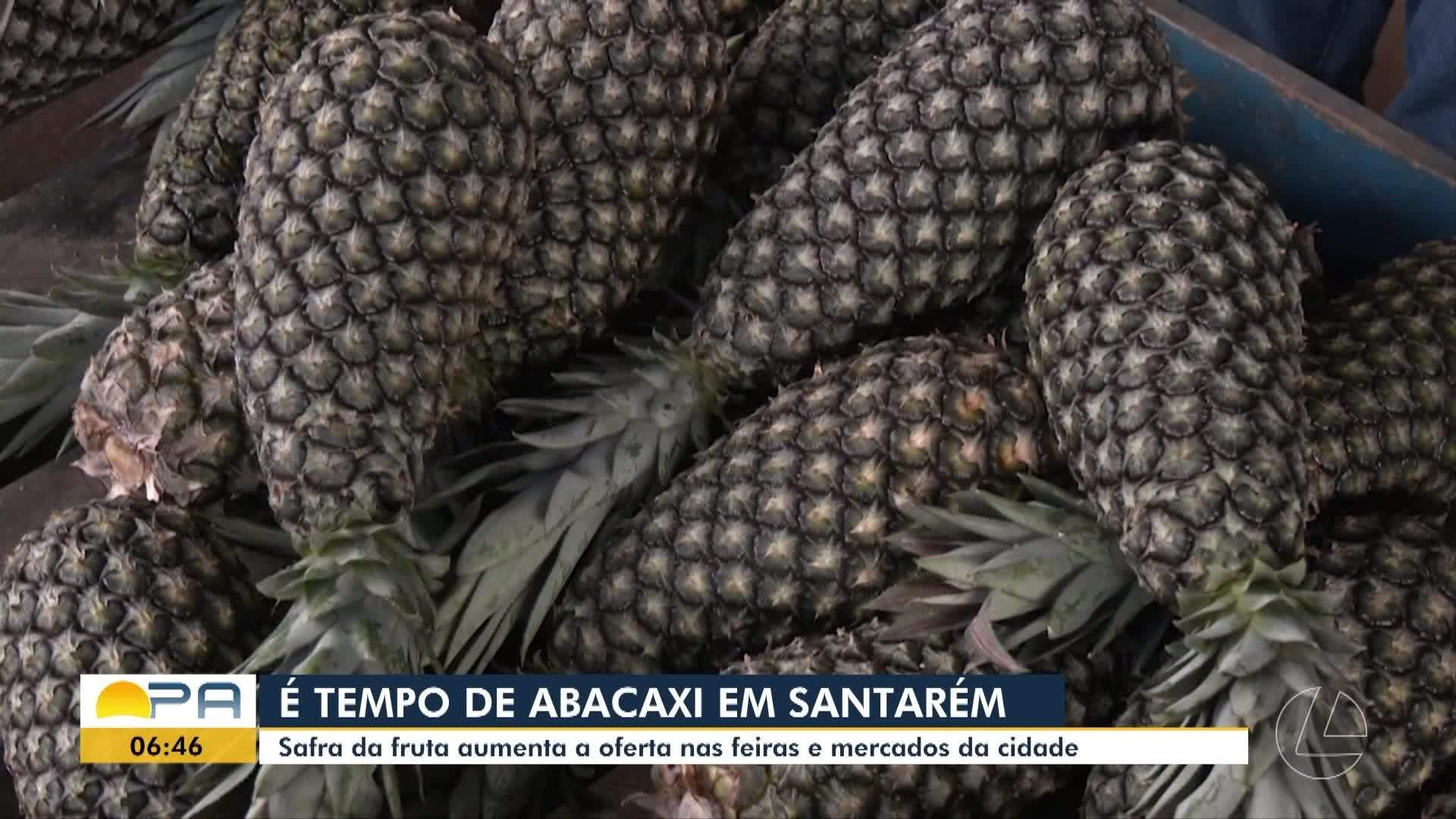 VÍDEOS: BDP de terça-feira, 3 de março de 2026 