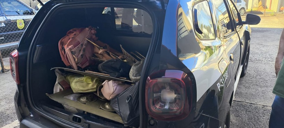 2 de 2
Agentes realizavam investigação há meses — Foto: Polícia Civil