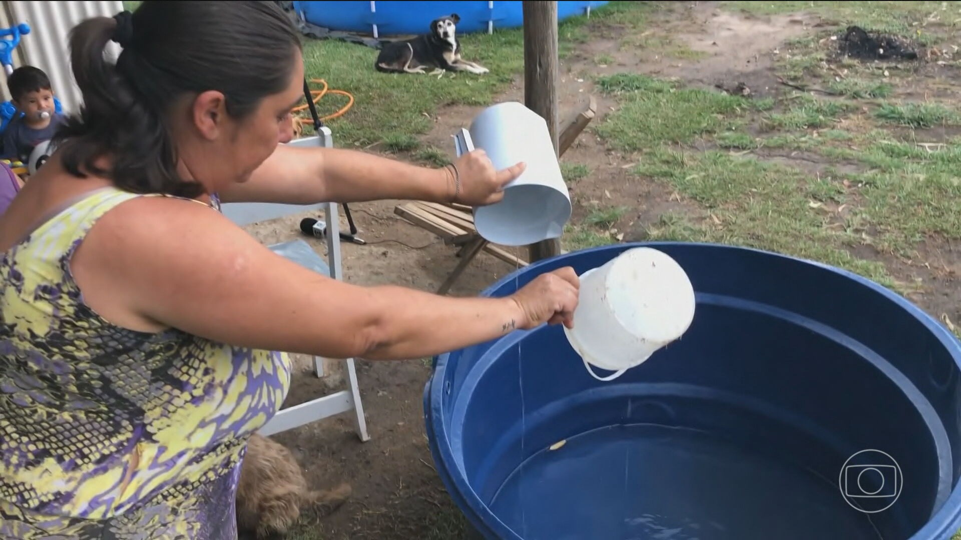 Agricultor bomba na web ao mostrar talento desenhando carros usando  canetas, papéis e até sacos de armazenar grãos; veja, Goiás