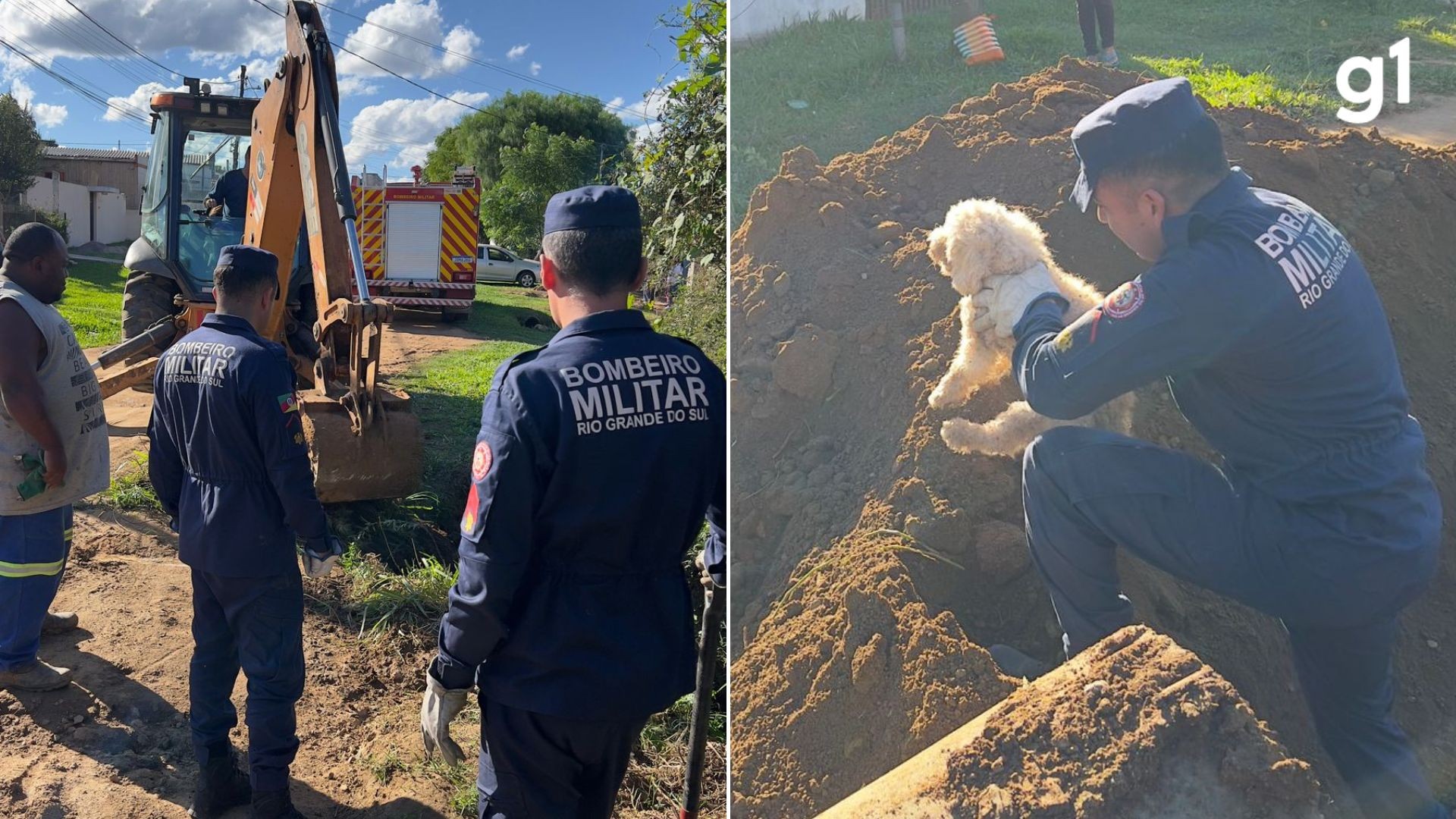 VÍDEO: Poodle é resgatado após ficar preso em tubulação de esgoto