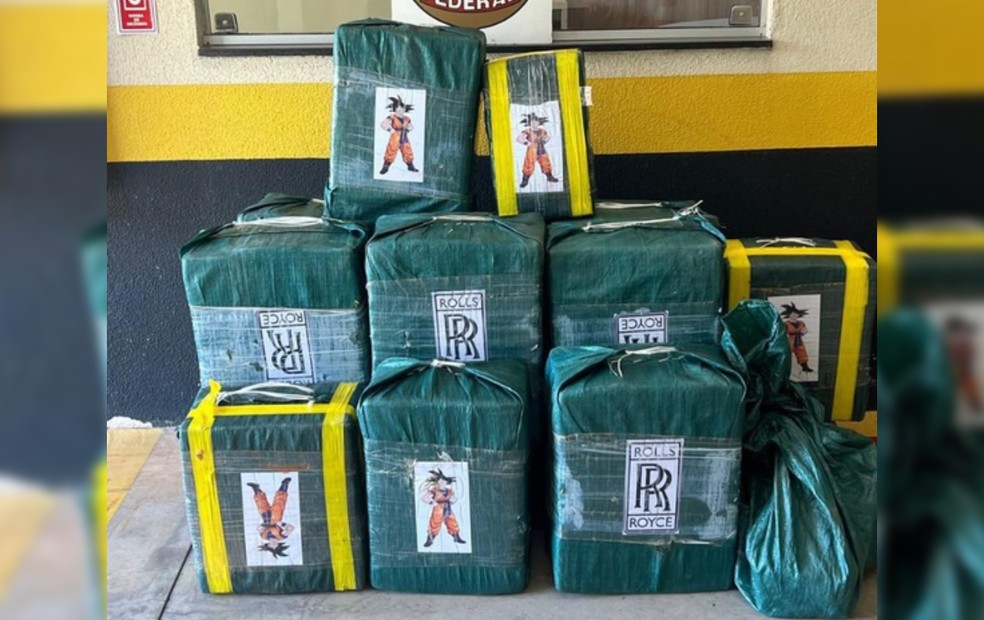 Cocaína com embalagens de “Goku” e símbolo da Rolls-Royce foi apreendida pela PF em Martinópolis — Foto: Polícia Federal/Divulgação