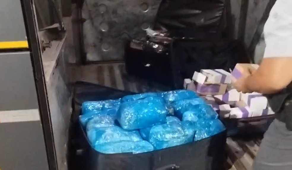 Passageiro de ônibus é preso por descaminho de produtos estimados em R$ 319 mil em Presidente Venceslau — Foto: Polícia Rodoviária/Divulgação
