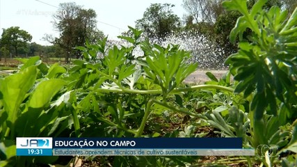 Educação no campo: estudantes aprendem técnicas de cultivo sustentável