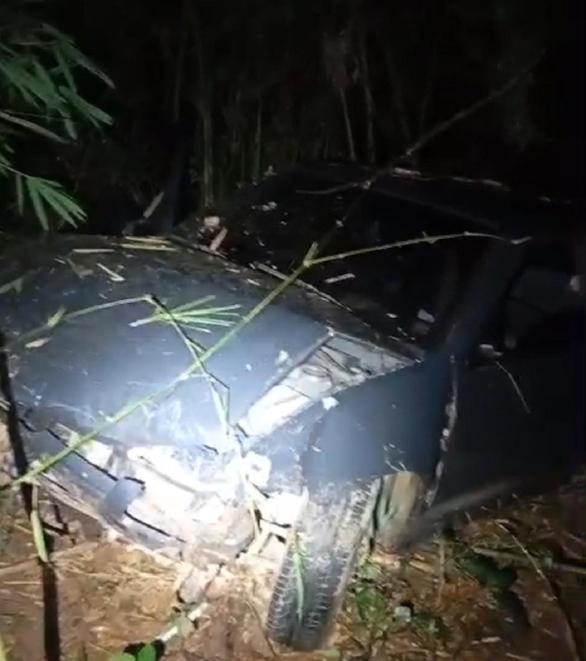 Motorista capota durante perseguição e foge por mata na BR-356; passageira foi presa por tráfico de drogas