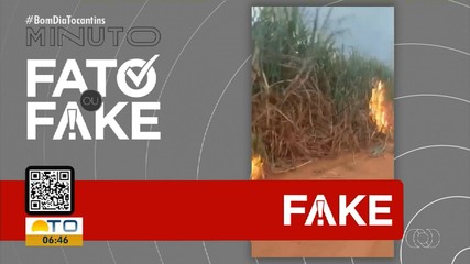 Vídeo sobre suposta queimada é desmentido no Fato ou Fake