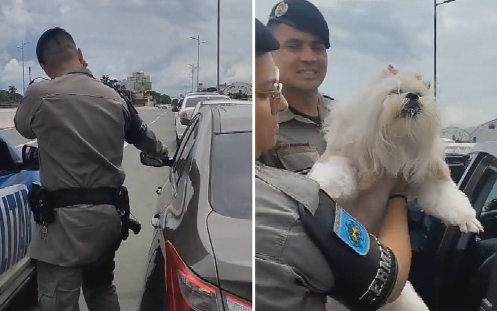 Tutora é presa depois de cadela ficar mais de uma hora trancada dentro de carro e ser resgatada por PM que quebrou janela